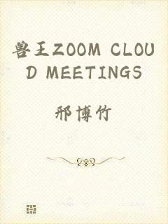 兽王ZOOM CLOUD MEETINGS